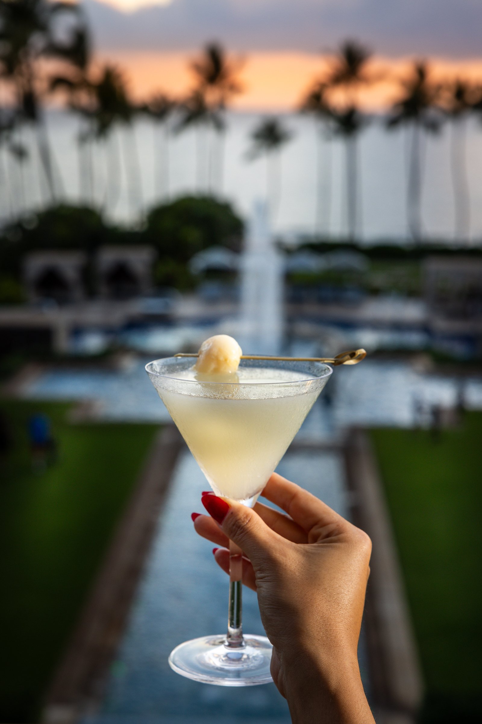 nobu lychee and elderflower martini