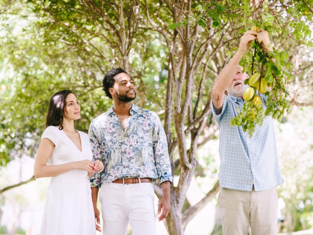 a person reaches up to the branches of the tree in the background while two people look on