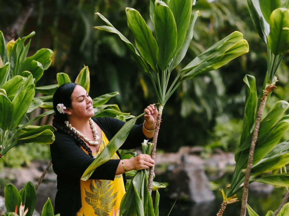 a woman dressed in yellow pulls a long leaf away from the plant 