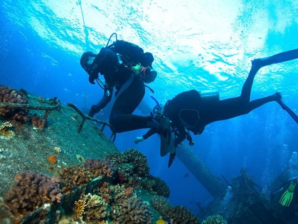 two people in snorkel gear dive under water