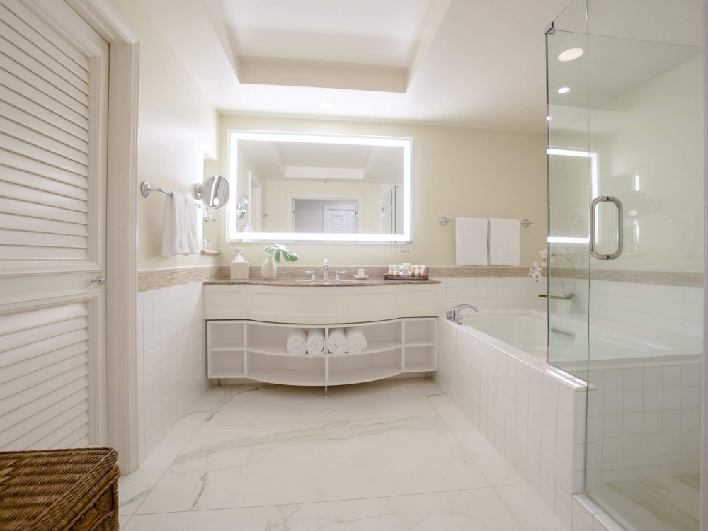 walk in shower, tub and sink in Signature Suite bathroom