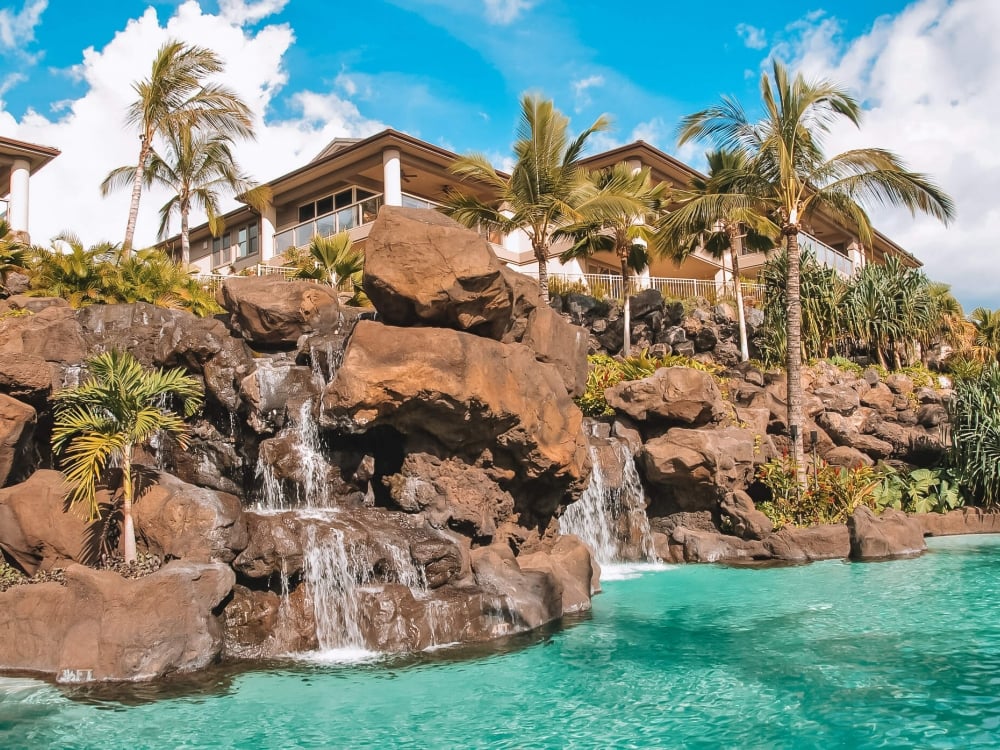 water feature and pool beside palm trees