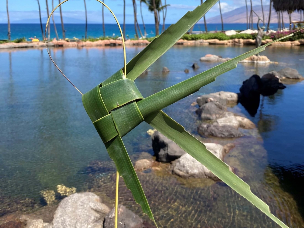 a weaved coconut leaf is held up in the foreground with blue pond, trees, and ocean visible in the background