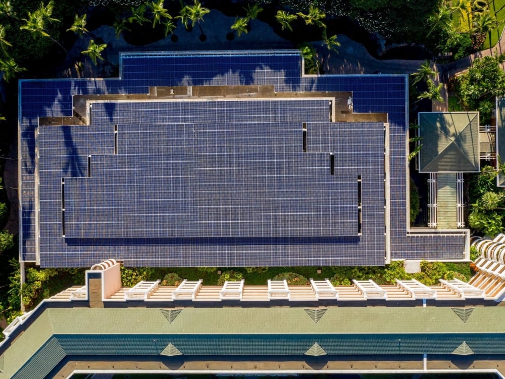 aerial view of the roof covered in solar panels surrounded by green foliage