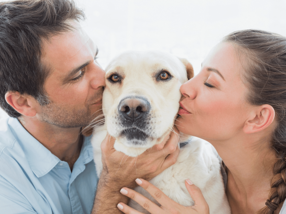 two people kiss both sides of a white dog's head