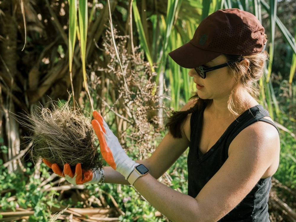 Volunteering at Hawaiʻi Land Trust