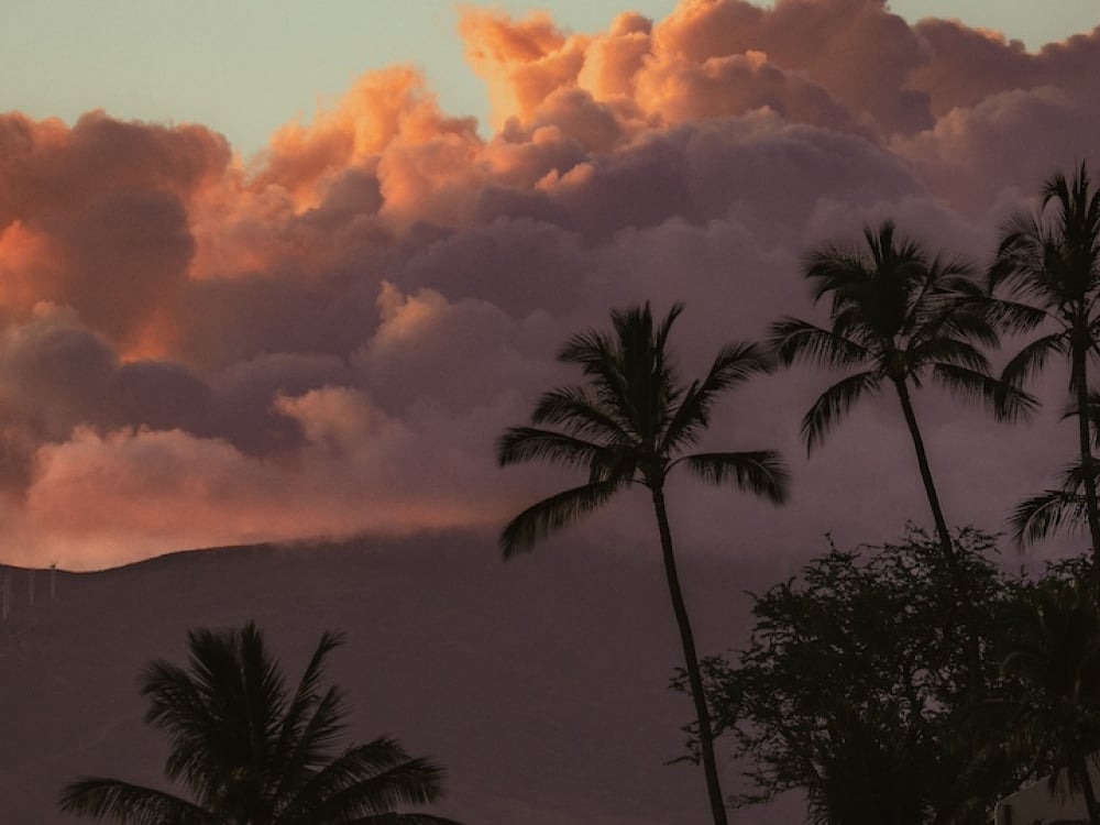 Fluffy orange clouds cresting over a palm tree-lined horizon