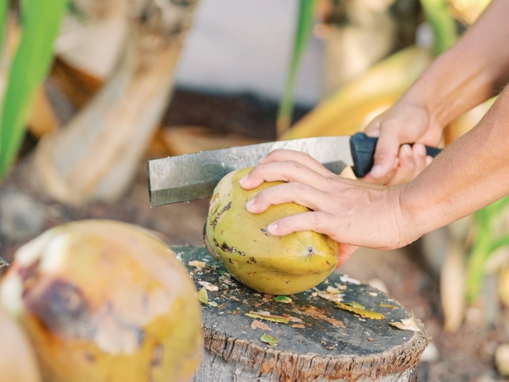 coconut demonstration