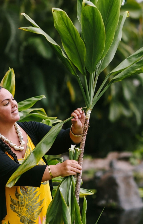 a woman dressed in yellow pulls a long leaf away from the plant 