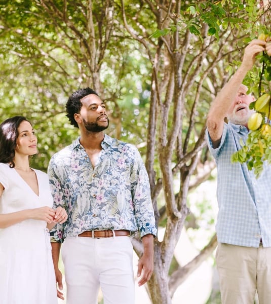a person reaches up to the branches of the tree in the background while two people look on