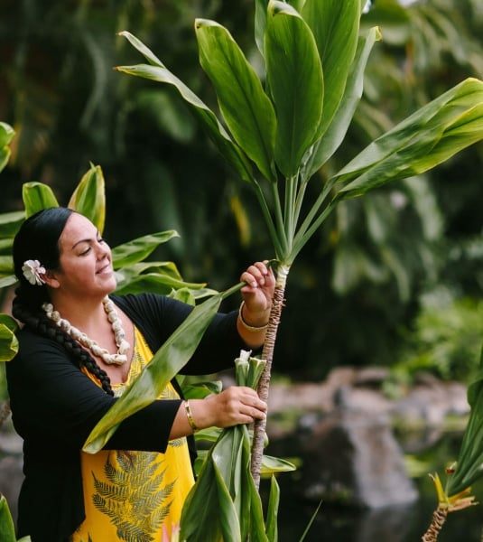 a woman dressed in yellow pulls a long leaf away from the plant 