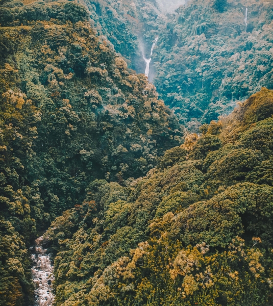 a waterfall amongst a forest of trees