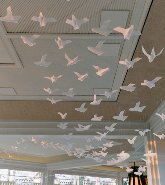 white doves