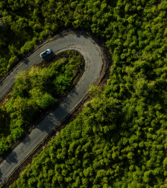 Road bending in the forest