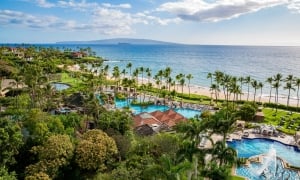 chase hero of gardens and pools