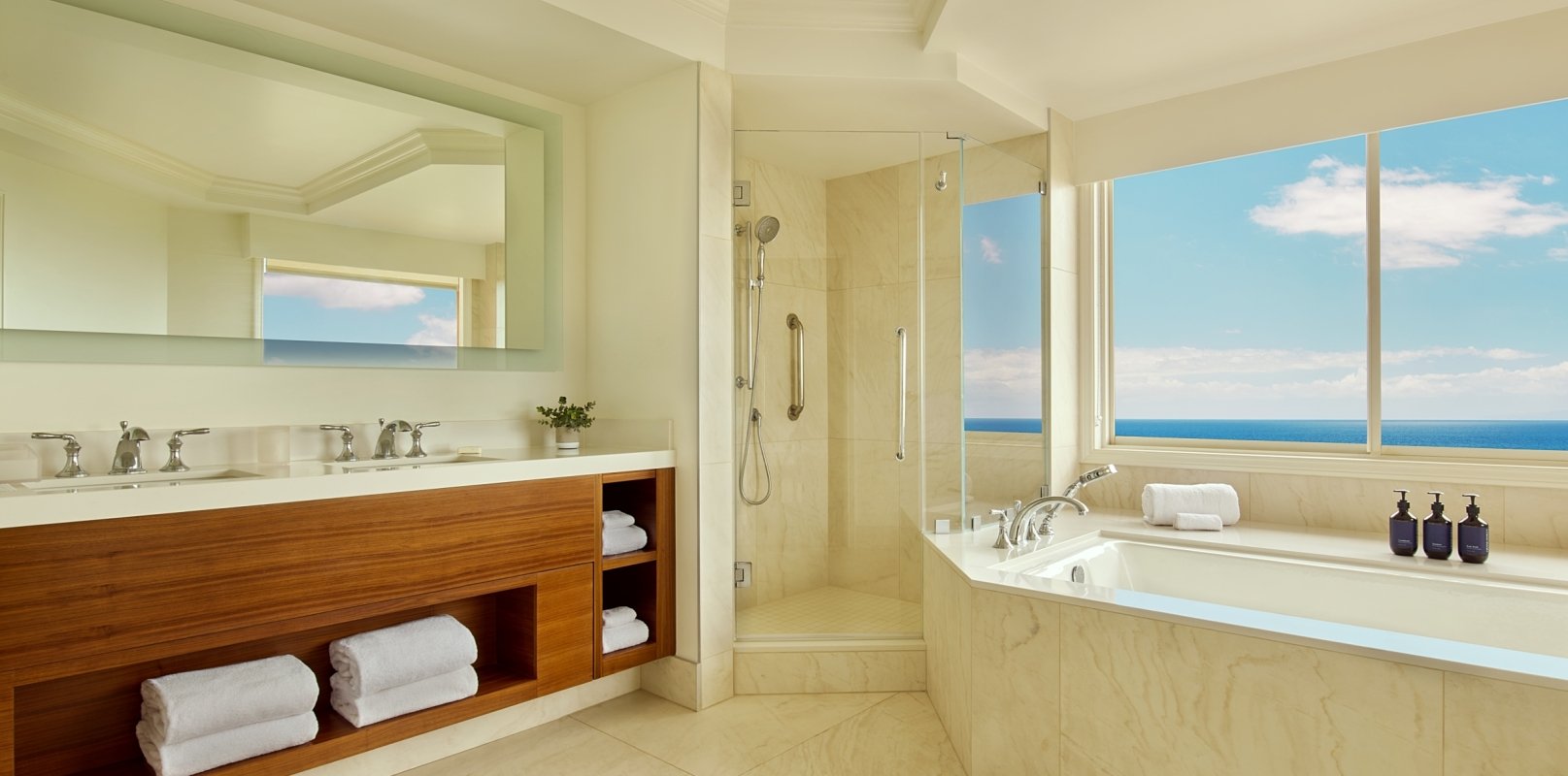 Deluxe Suite Bathroom