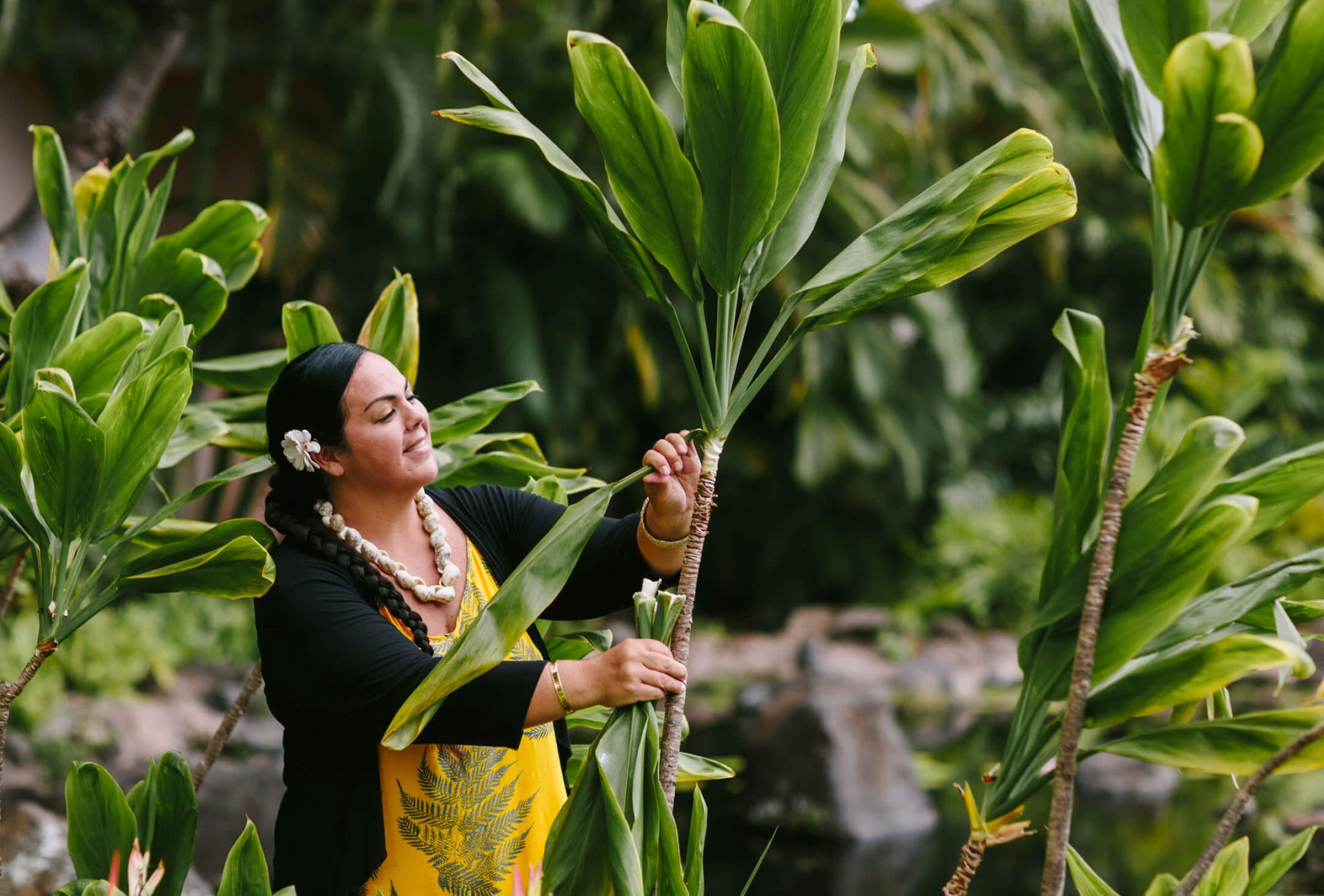 a woman dressed in yellow pulls a long leaf away from the plant 