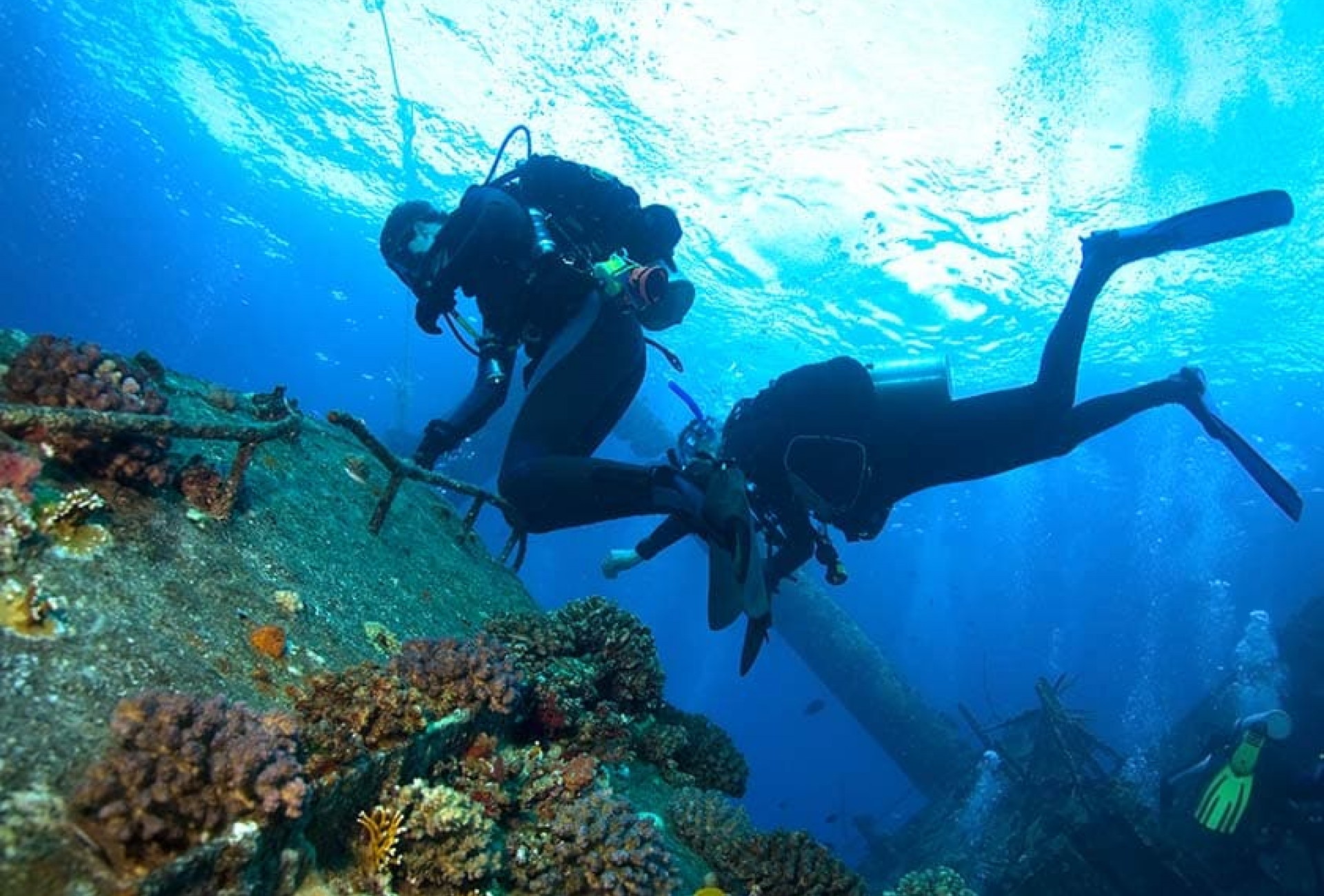 two people in snorkel gear dive under water
