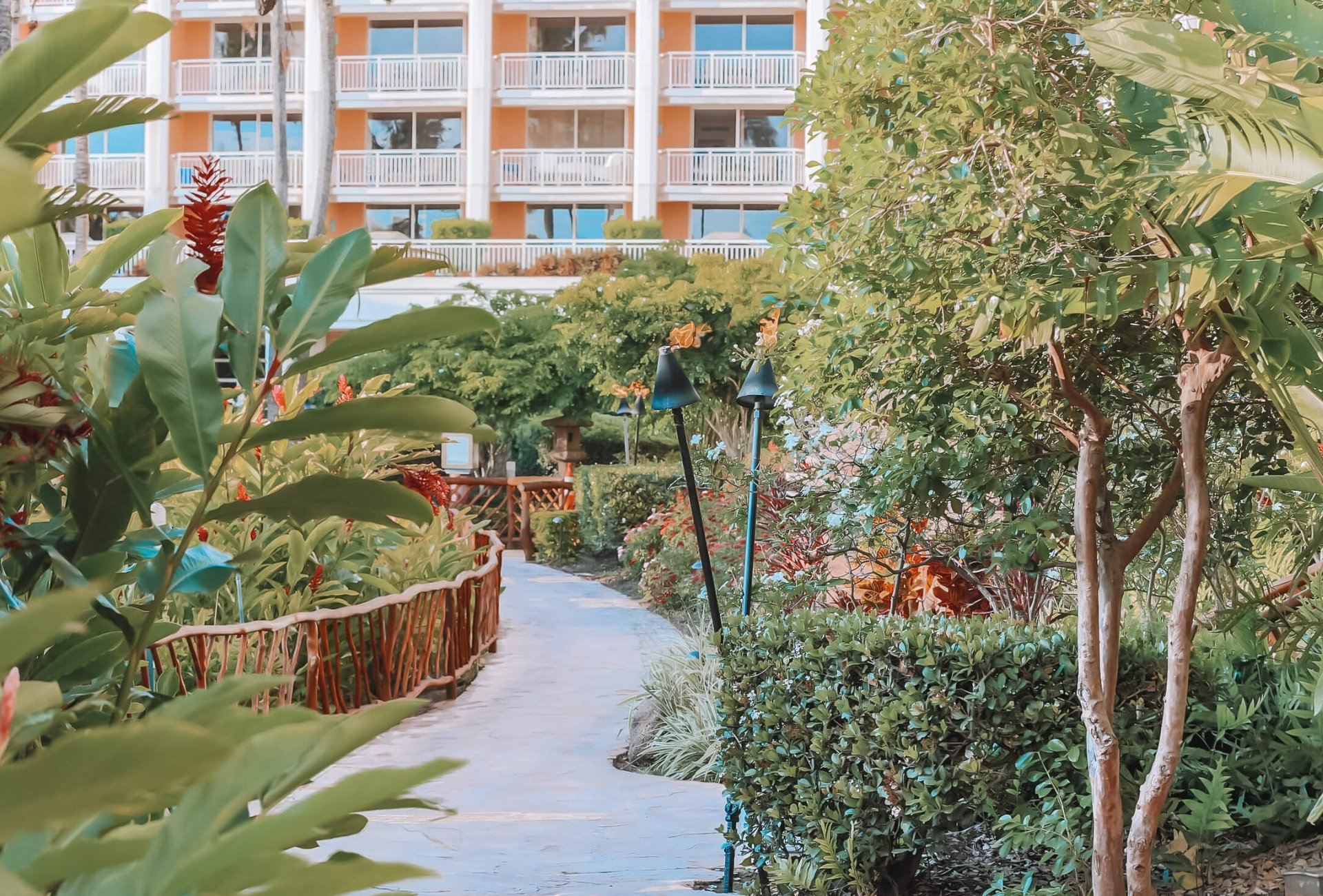 a tree-lined walkway leads toward the Grand Wailea resort building