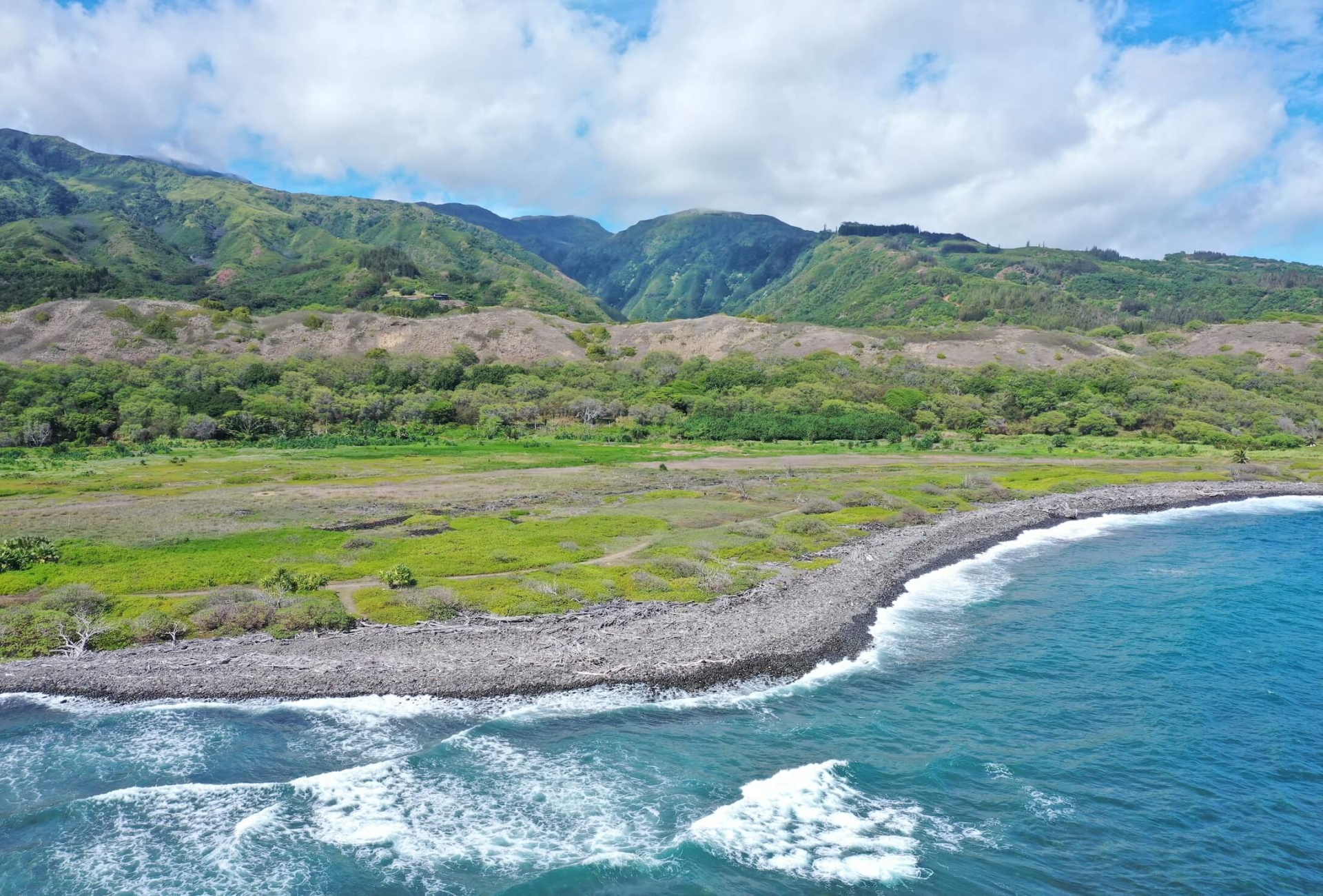 ocean in the foreground with green trees and foliage line the mountainside in the background