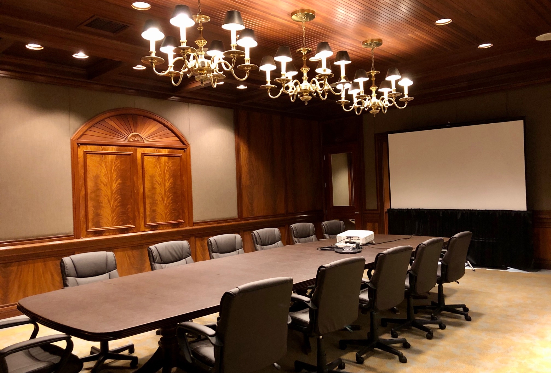 Silversword Screen and Projector.jpg