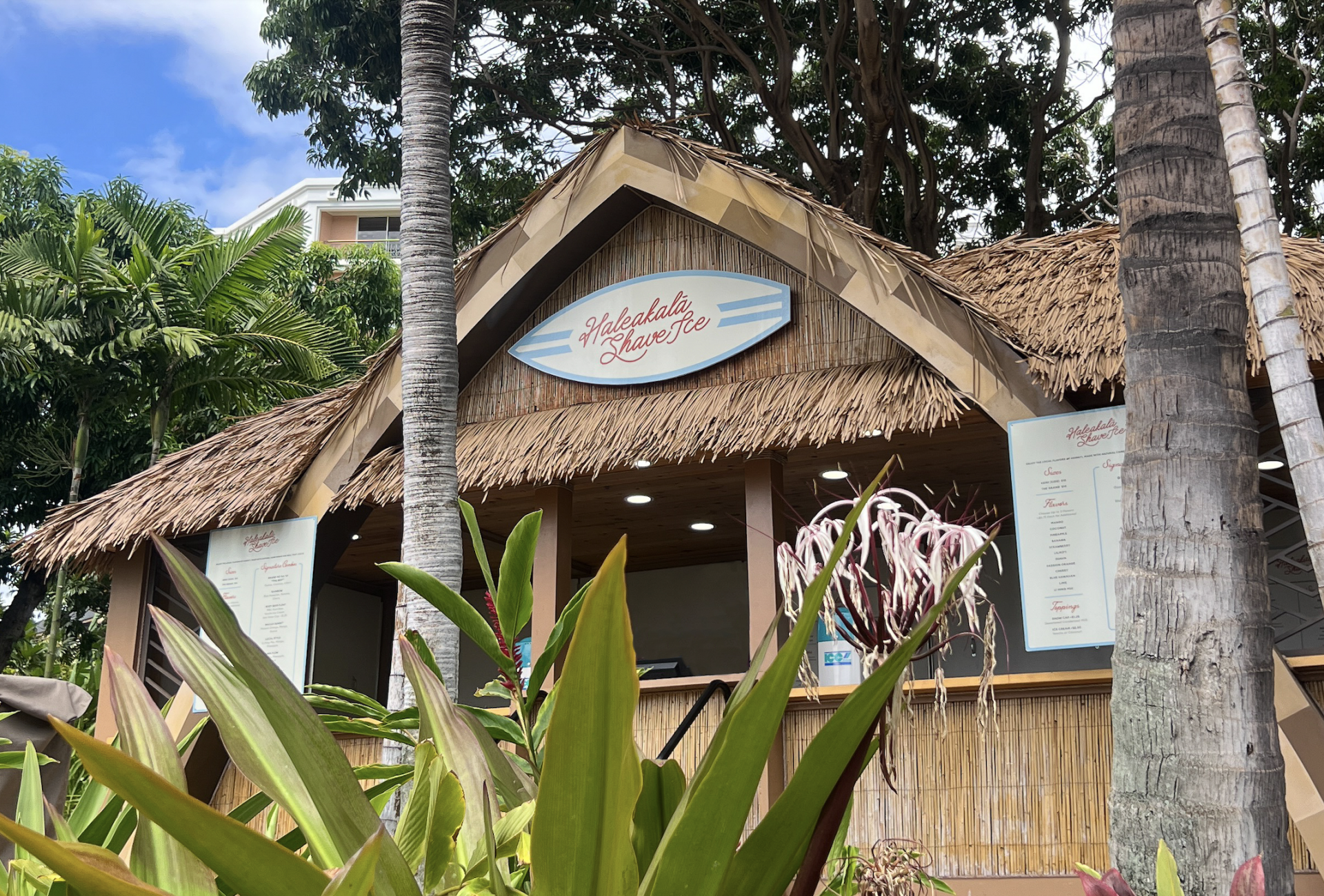 Shave Ice