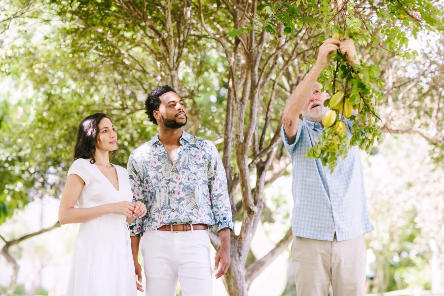 a person reaches up to the branches of the tree in the background while two people look on