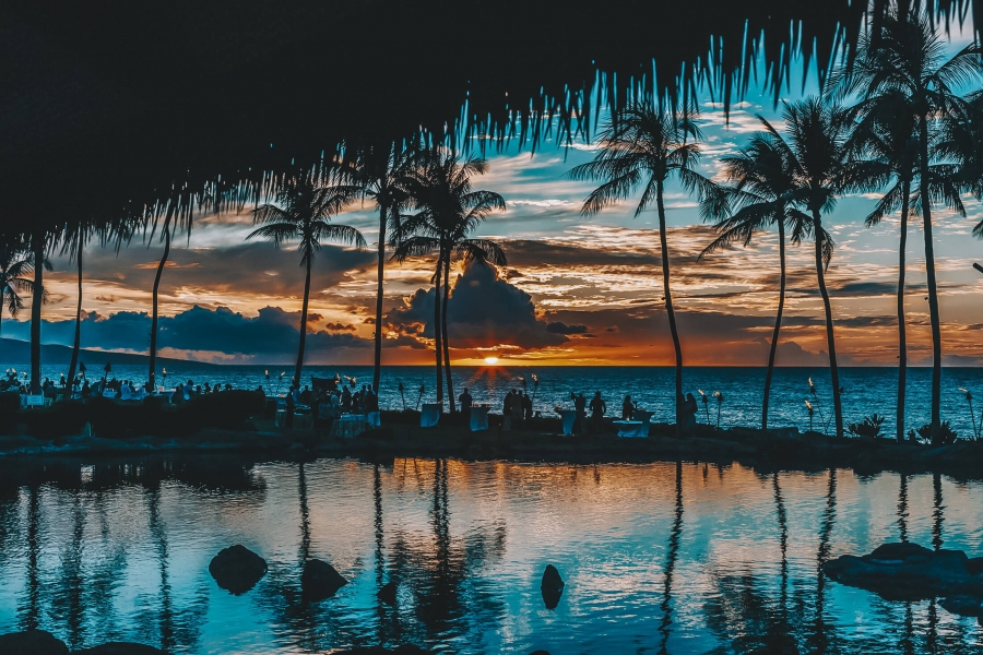 shadow of palm trees reflect off the water in the foreground while the sun sets over the ocean creating an orange and blue sky