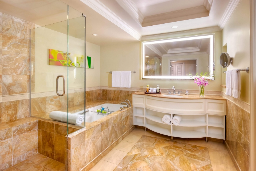 walk in shower, tub and sink in Signature Suite bathroom