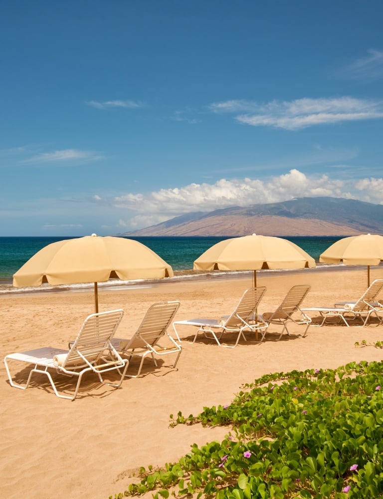 beach loungers & umbrellas setup.jpg